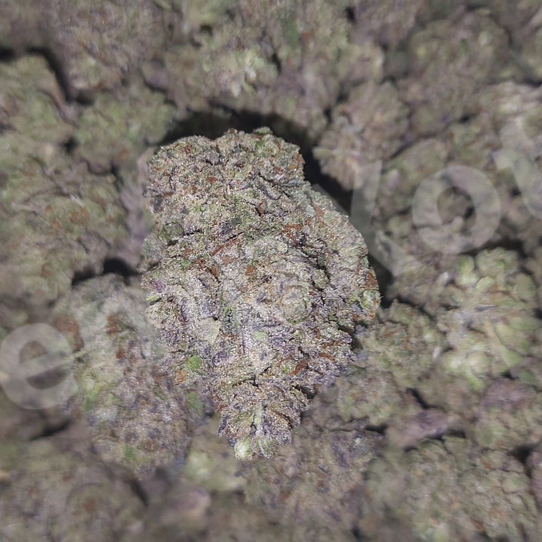 Cookies & Cream 14g-28g
