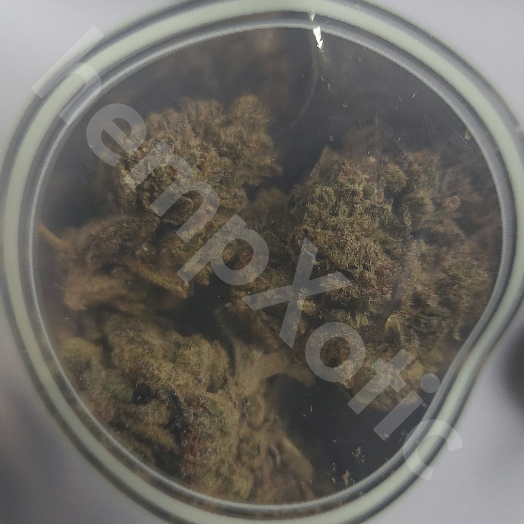 Cookies & Cream - 3.5G