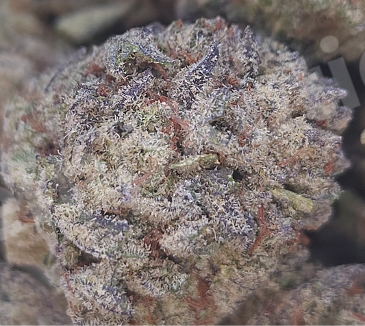 Oreoz - 3.5G