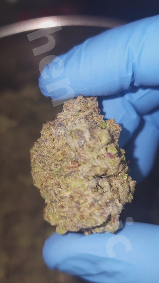 Cookies & Cream 14g-28g